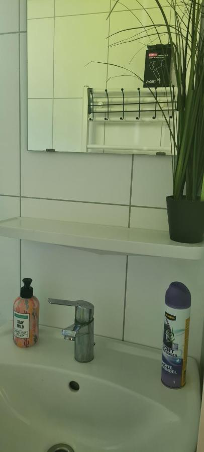 Gezellige Chalet Met Grote Privetuin. Dronrijp Zewnętrze zdjęcie